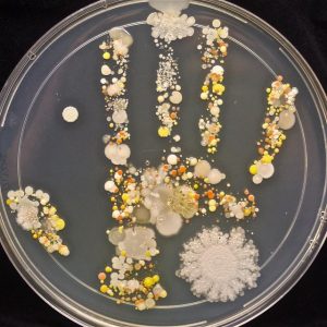 bacteries main enfant